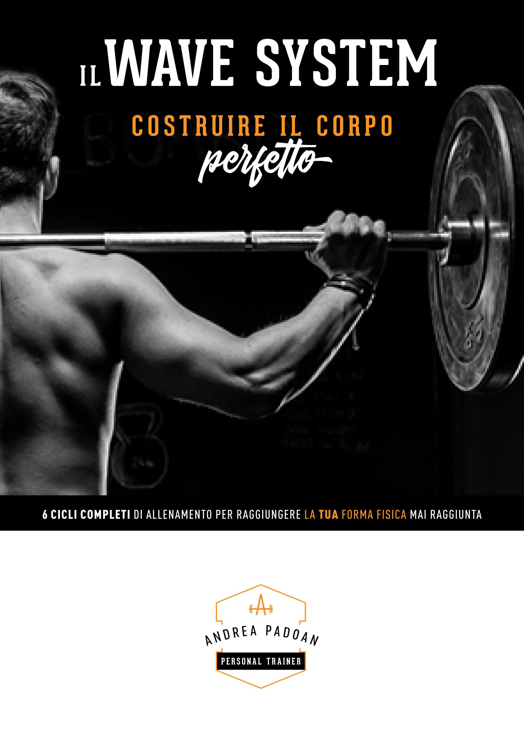 Copertina Ebook Il Wave System